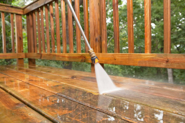 Best Exterior Home Cleaning  in Biscoe, NC